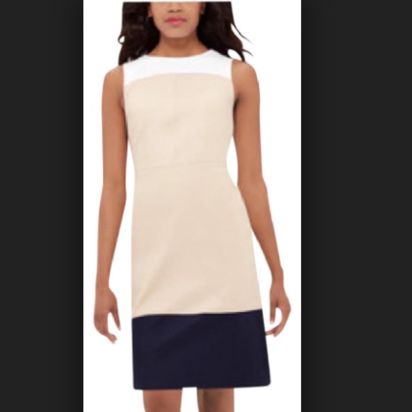 The Limited Dresses & Skirts - NWT The Limited Colorblock Sheath Dress [Size: 10]